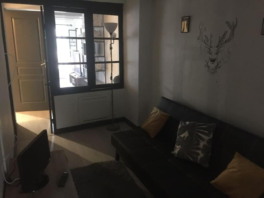 Très jolie appartement Apartment in Auvergne-Rhône-Alpes