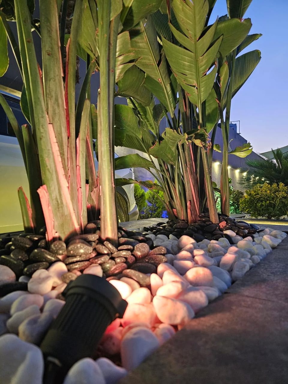 Elysee Villa Chalet in Africa