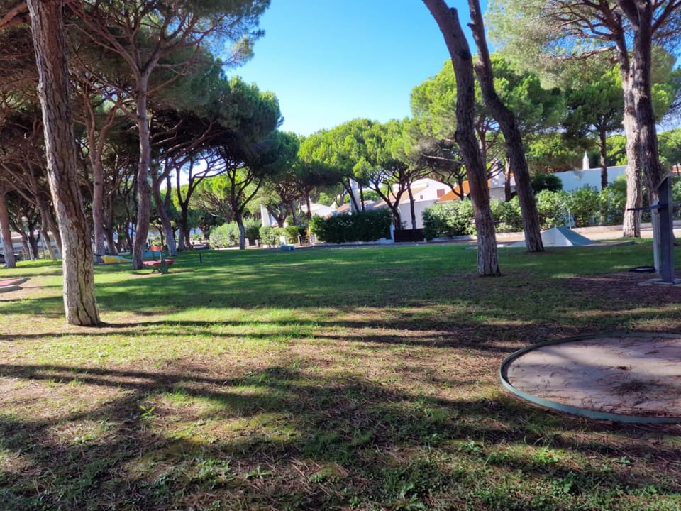 Natural landscape, Garden, Garden view
