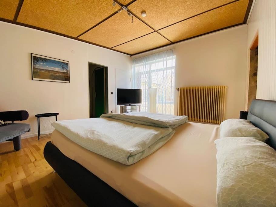 Bed, TV and multimedia, Living room, Photo of the whole room, Bedroom
