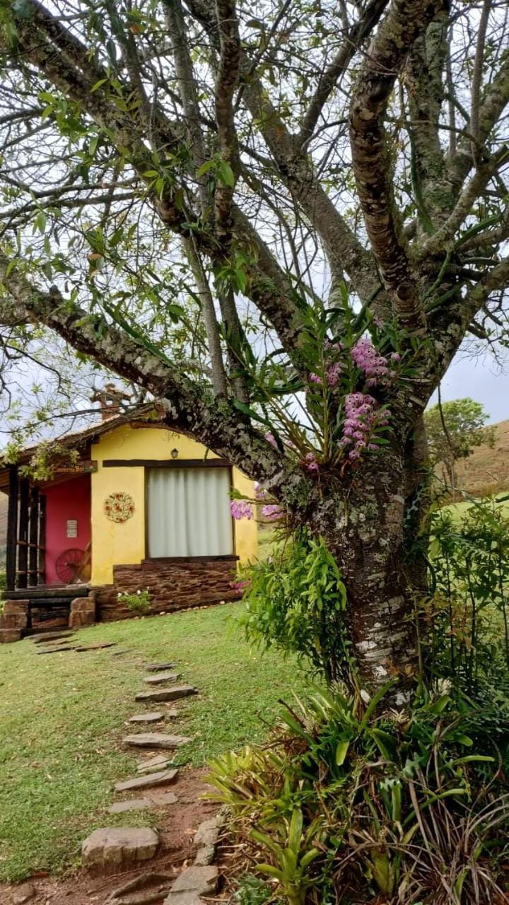 Spring, Natural landscape, Garden