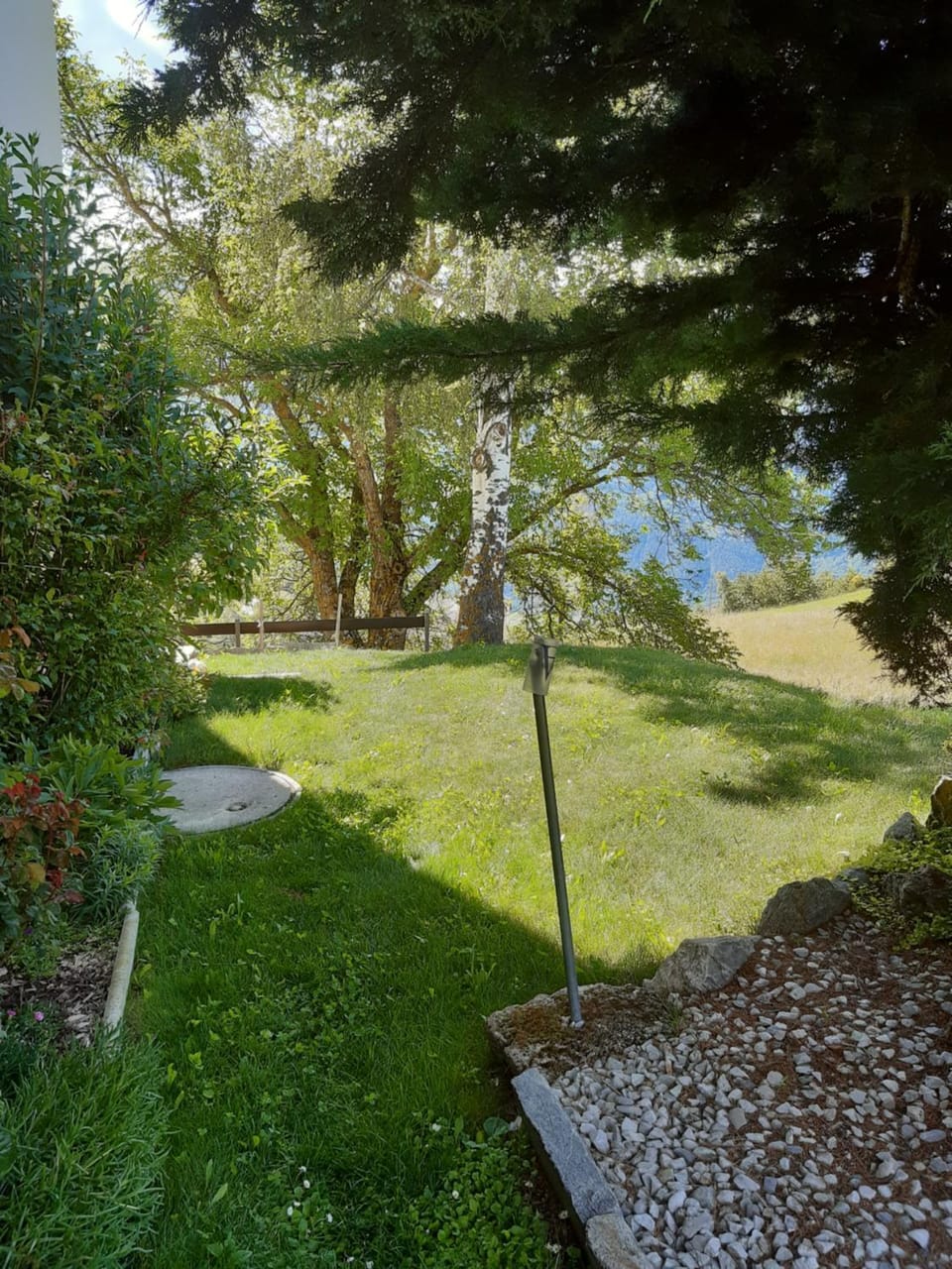 Garden view