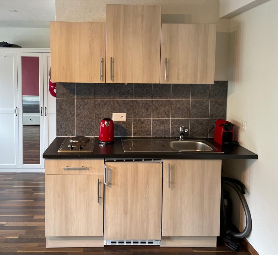 Kitchen or kitchenette, kitchen
