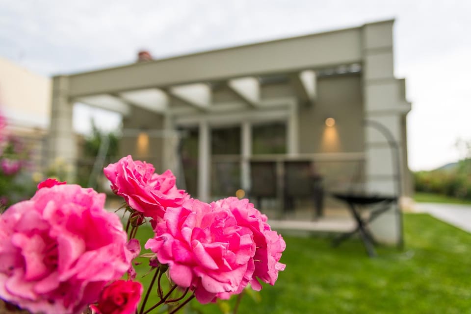 Property building, Spring, Day, Garden, Garden view