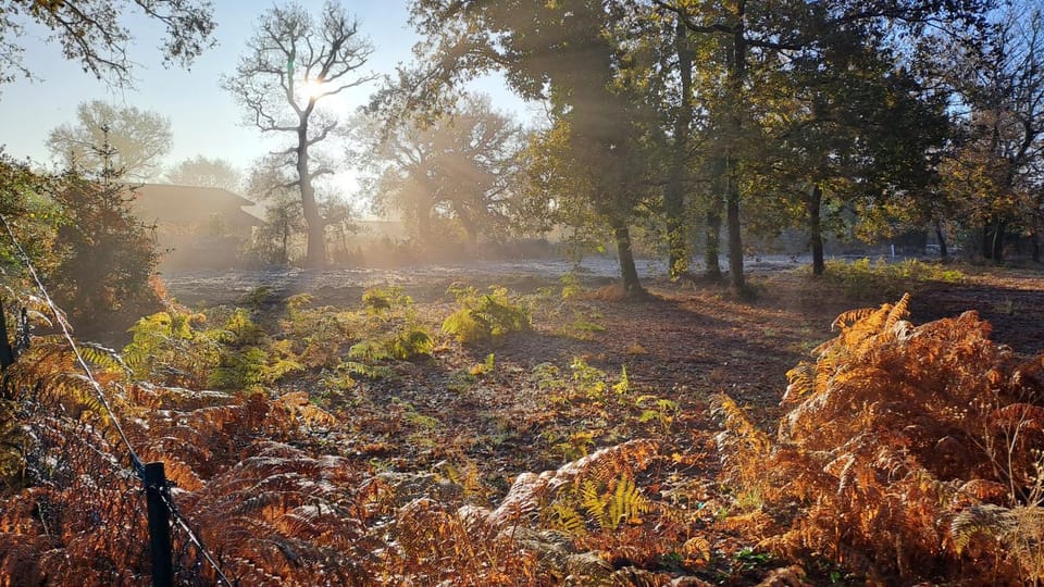 Natural landscape
