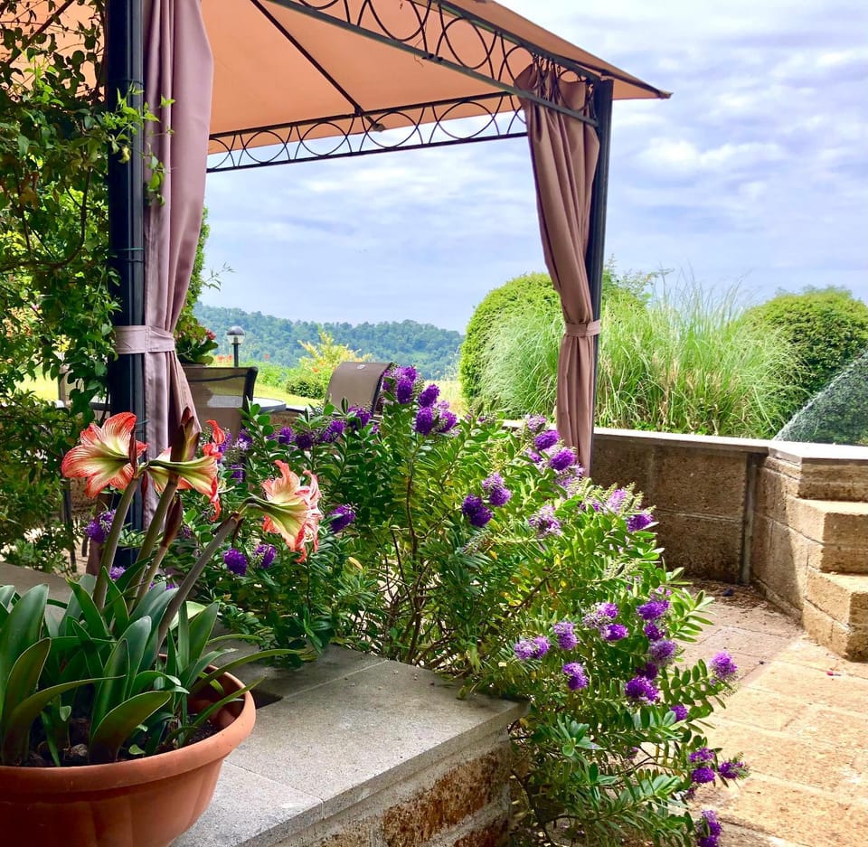 Patio, Garden