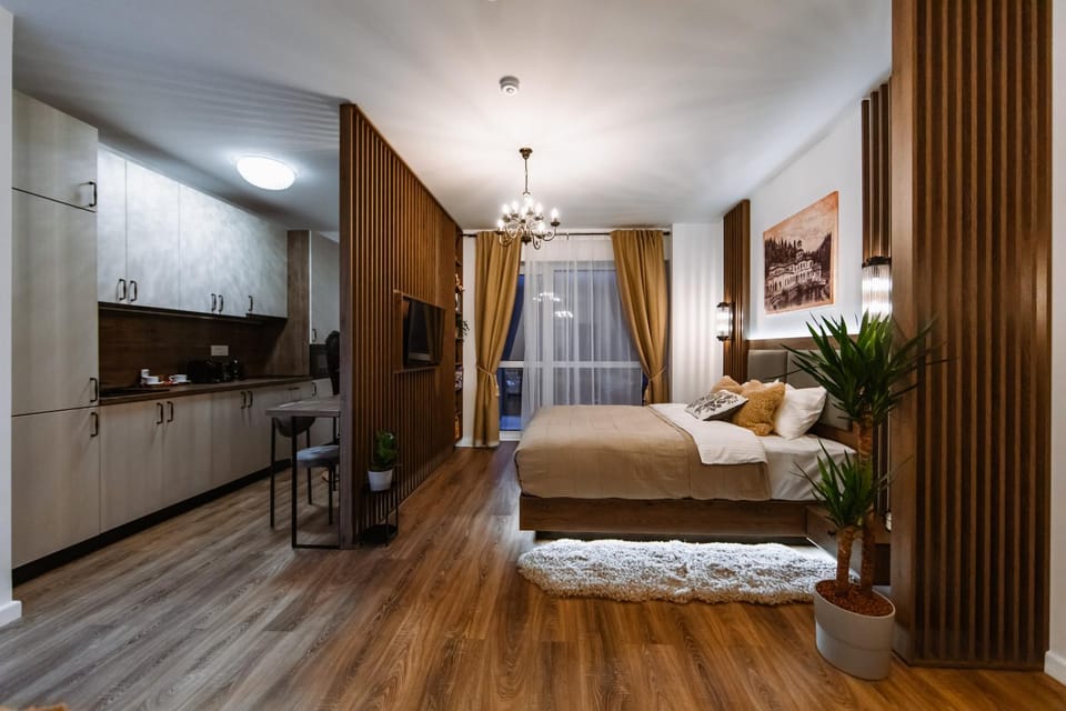 Bed, TV and multimedia, Kitchen or kitchenette, Photo of the whole room, Bedroom