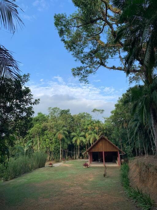 Natural landscape, Garden