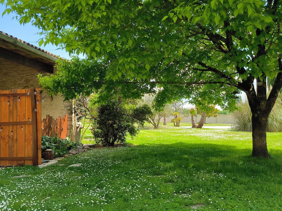 Garden, View (from property/room)