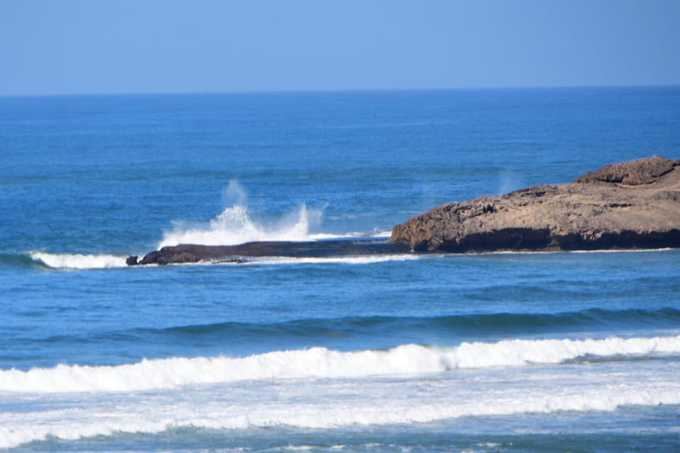 Natural landscape, Fishing, Beach, Hiking, Sea view