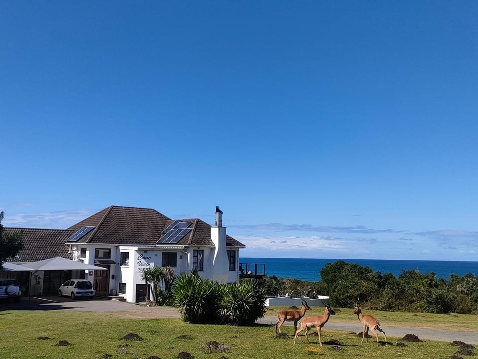 Property building, Sea view