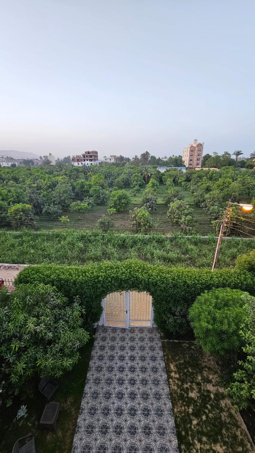 Panorama Hotel Hotel in Luxor