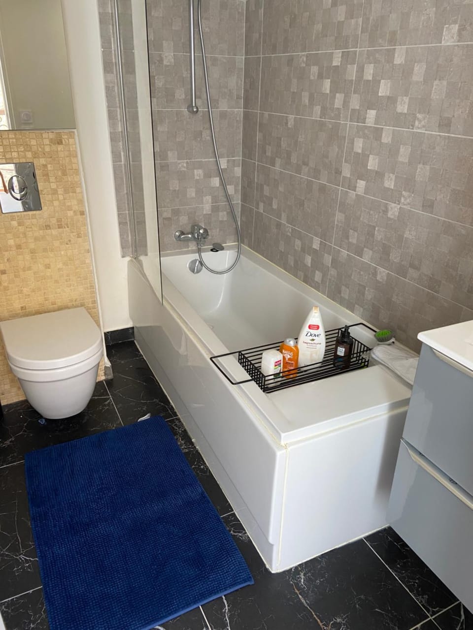 Luxury Ensuite Room at Gates of Paris Apartment in Nogent-sur-Marne