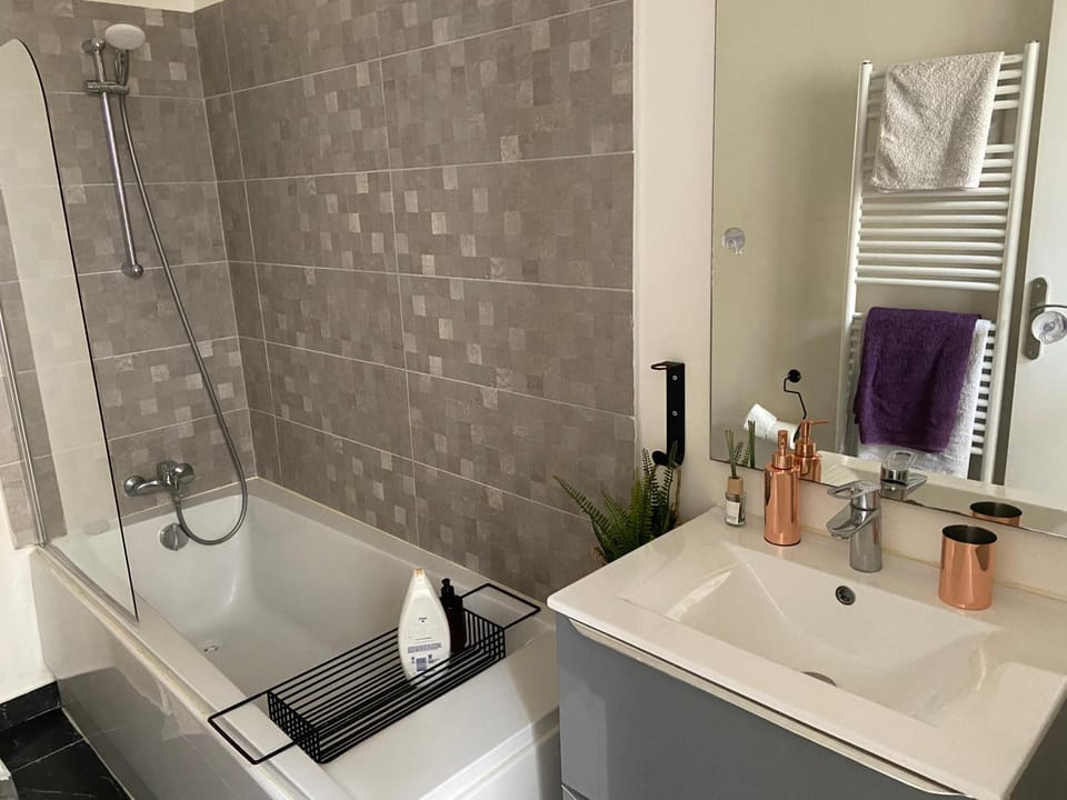 Luxury Ensuite Room at Gates of Paris Apartment in Nogent-sur-Marne