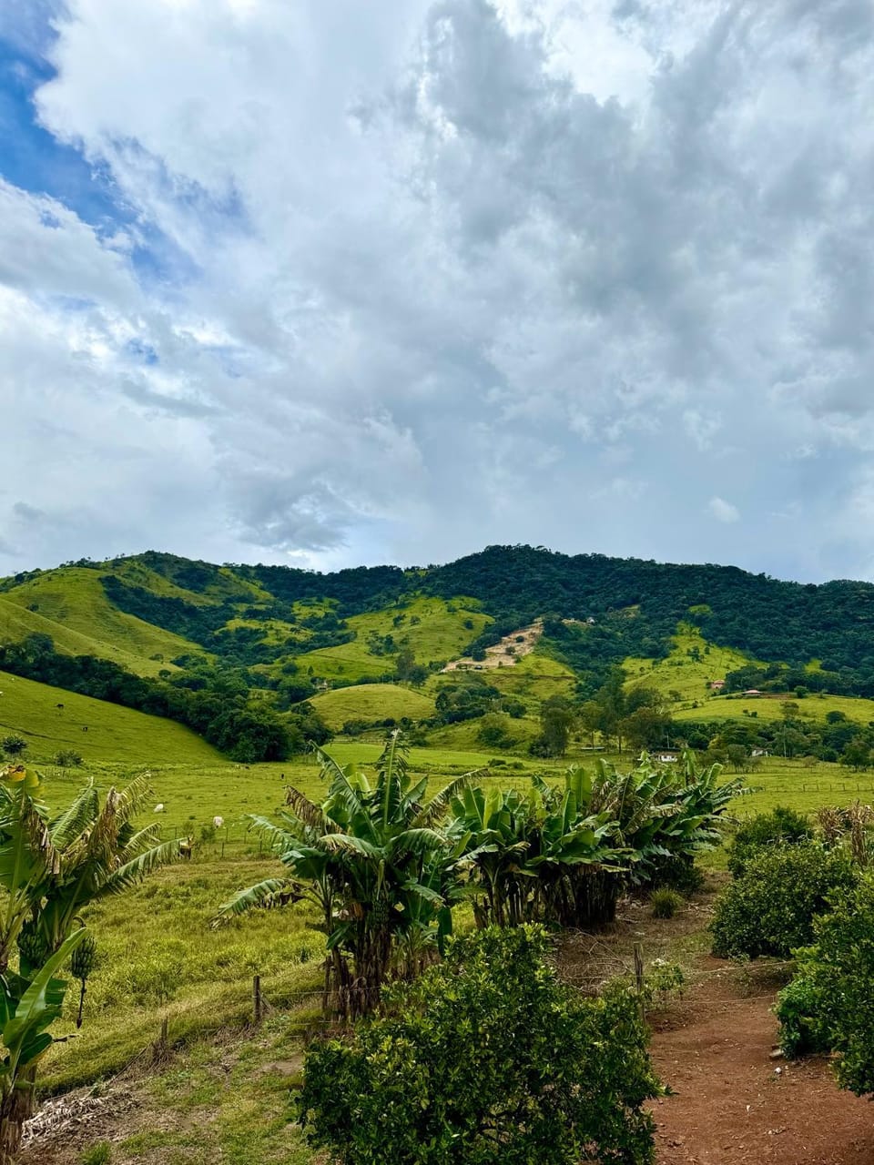 Nearby landmark, Day, Natural landscape, Garden view, Mountain view