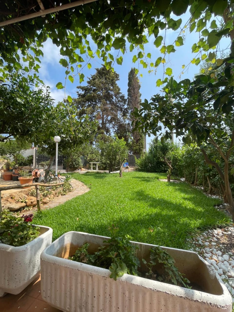 Spring, Day, Garden, Garden view