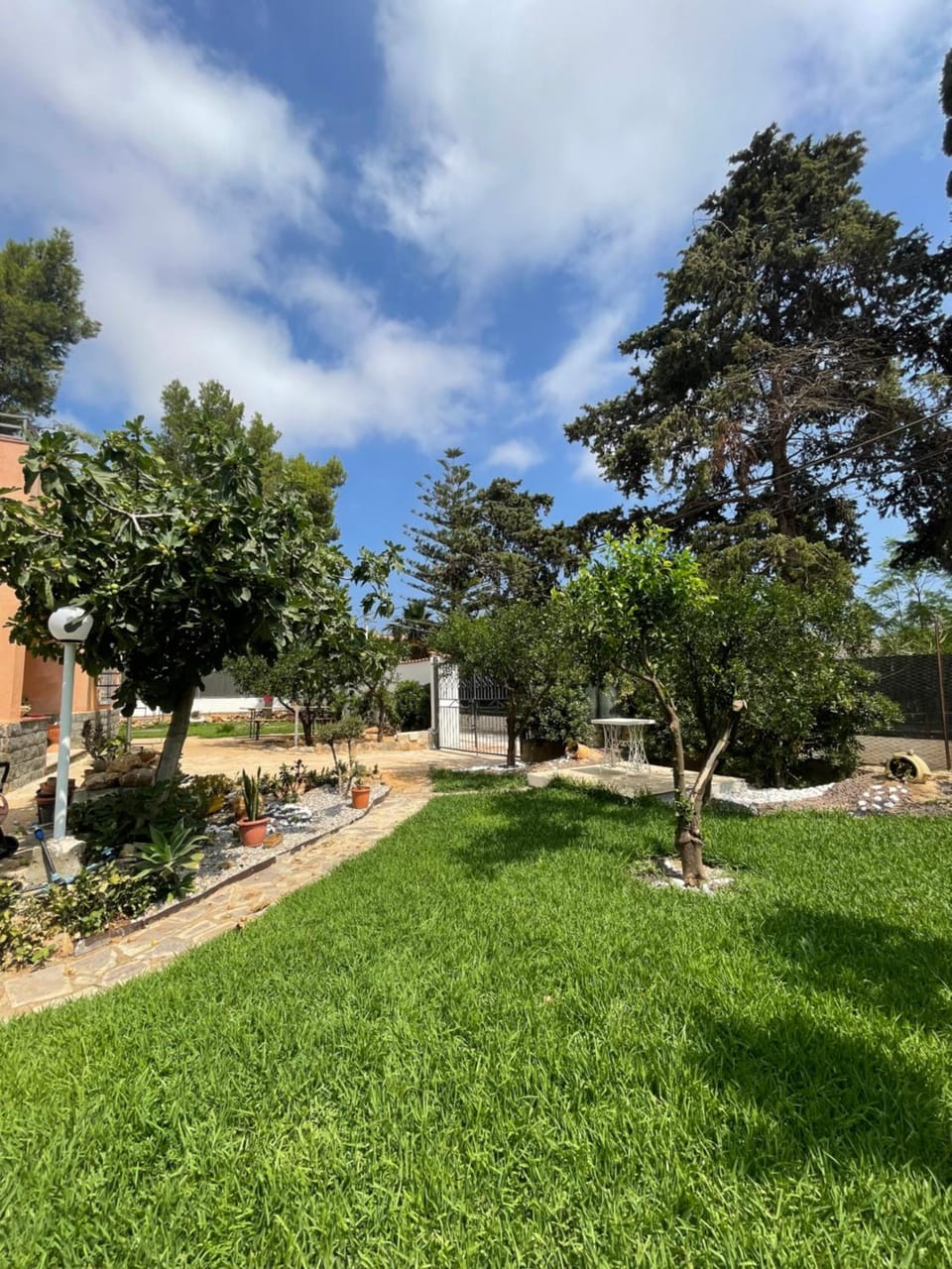 Spring, Day, Natural landscape, Garden, Garden view
