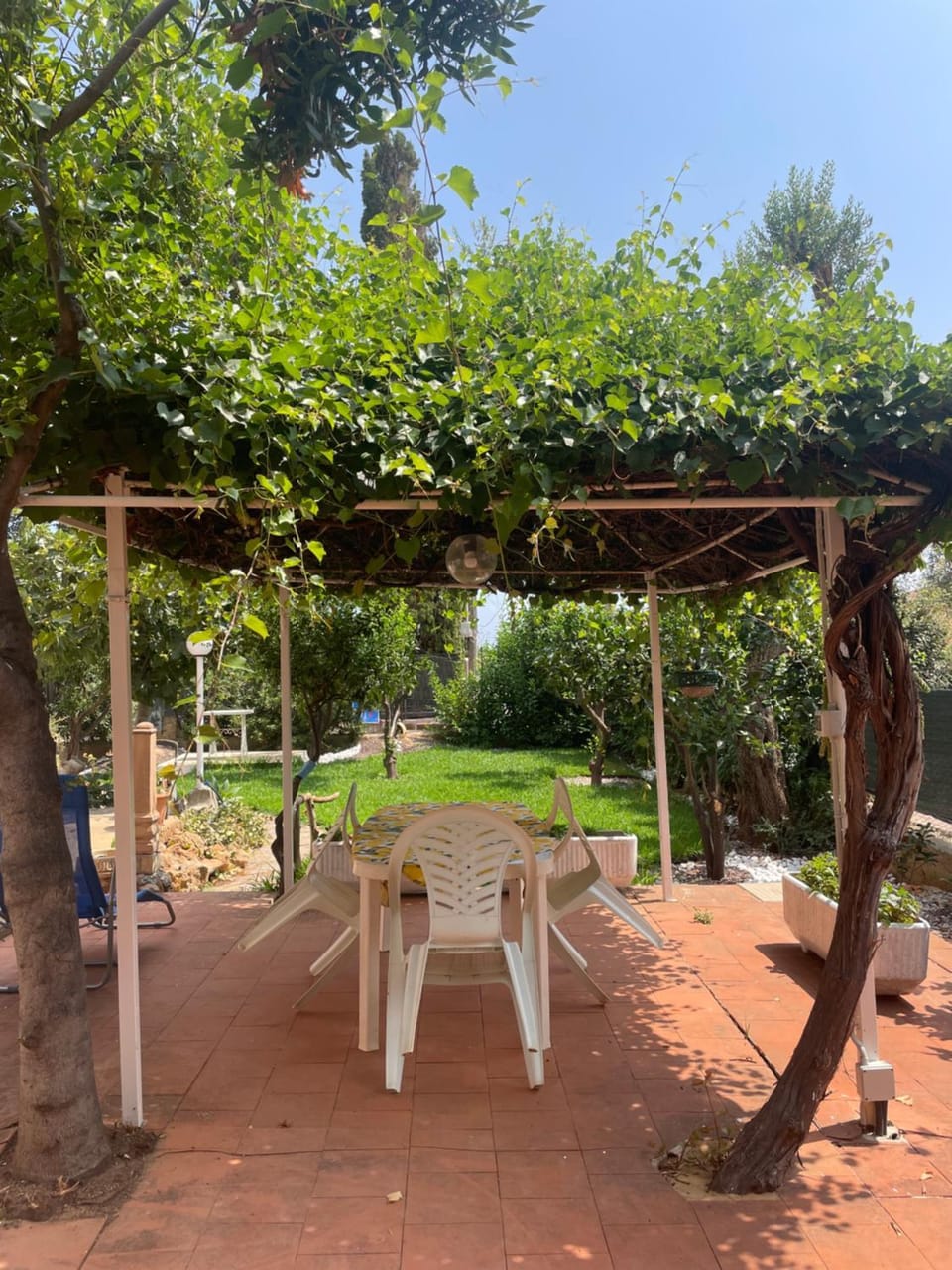 Patio, Spring, Day, Garden, Dining area, Garden view