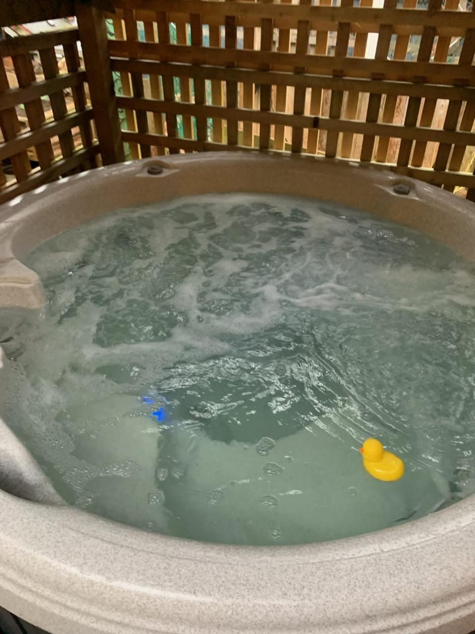 SEAS THE DAY Hottub Pets Private Suite Beaches House in Vancouver Island