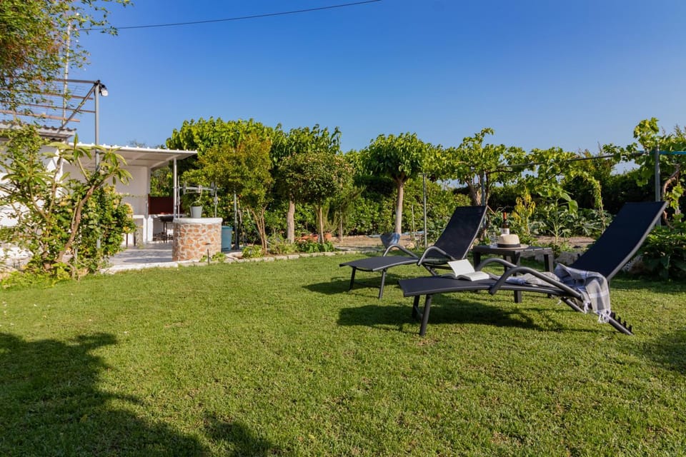 Spring, Day, Natural landscape, Garden, Garden view, sunbed