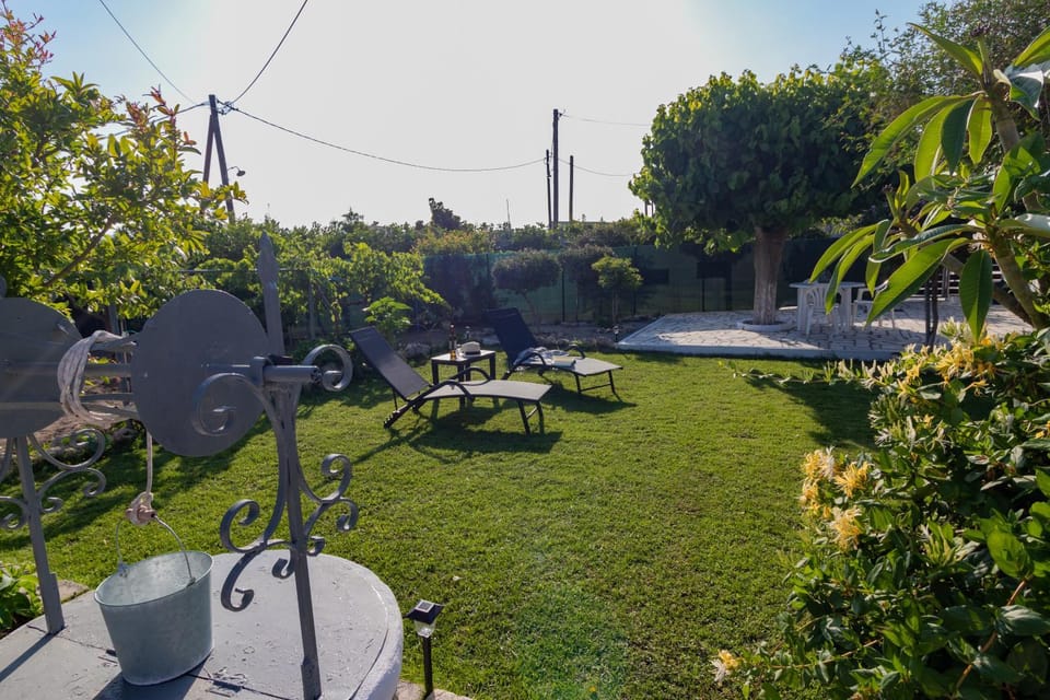 Spring, Day, Natural landscape, Garden, Garden view, sunbed