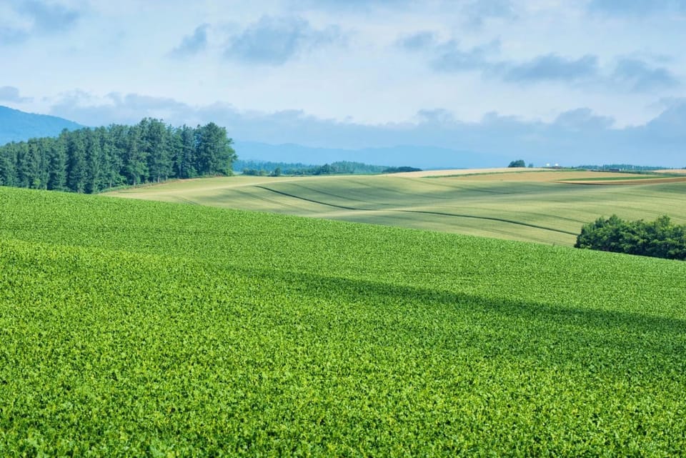 Natural landscape