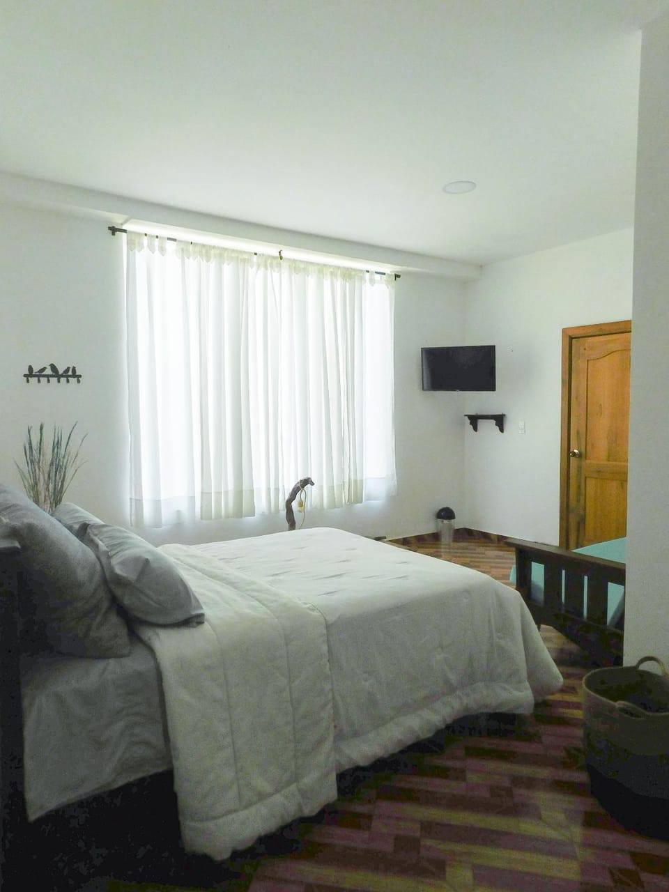 Communal lounge/ TV room, Photo of the whole room, Bedroom