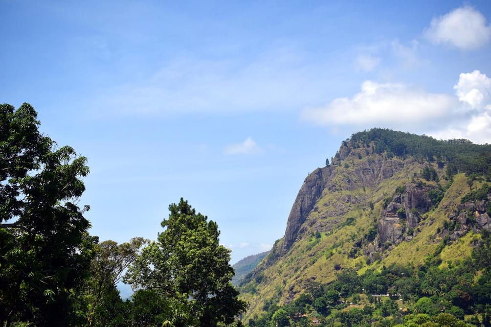 Mountain view