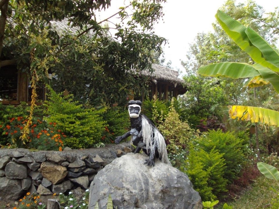 Decorative detail, Garden view
