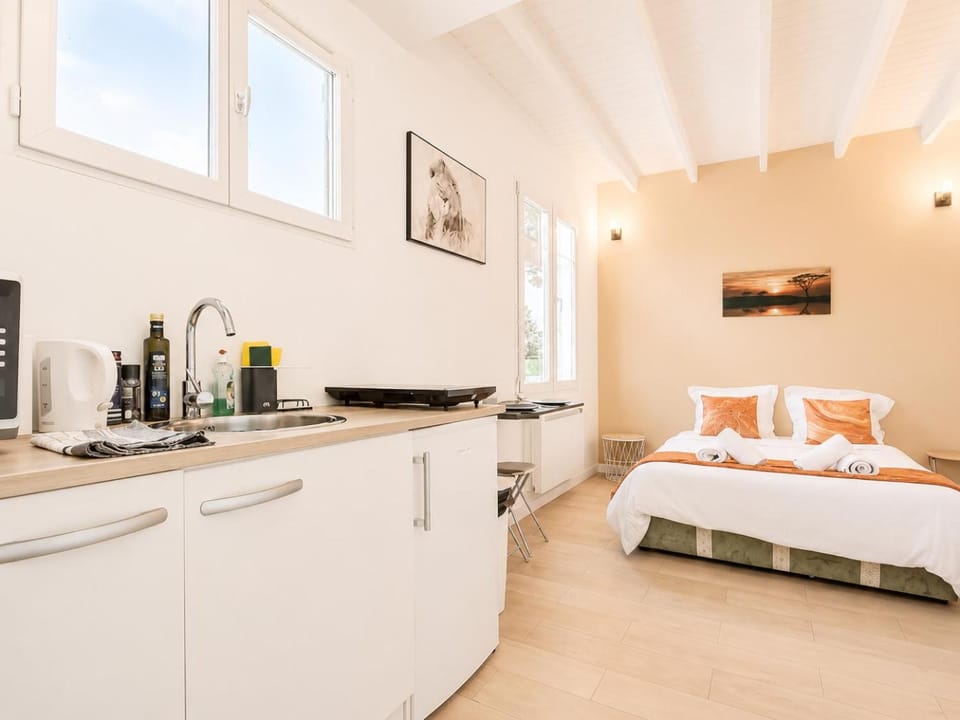 Bed, Kitchen or kitchenette, Photo of the whole room, Bedroom, minibar, stove