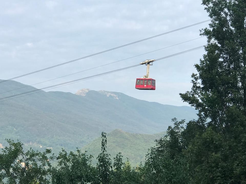 Mountain view