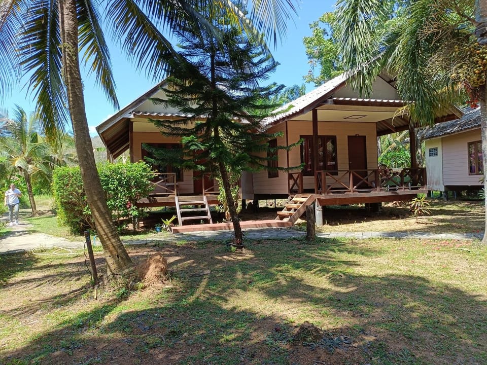 Patio, Day, Natural landscape, Garden