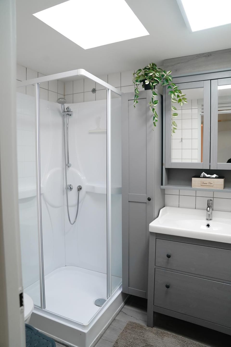 Shower, Bathroom