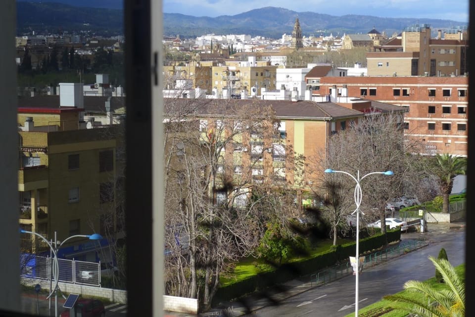 City view