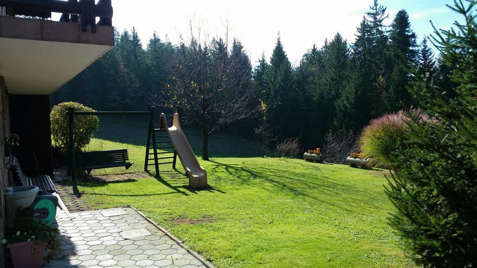 Day, Natural landscape, Garden view