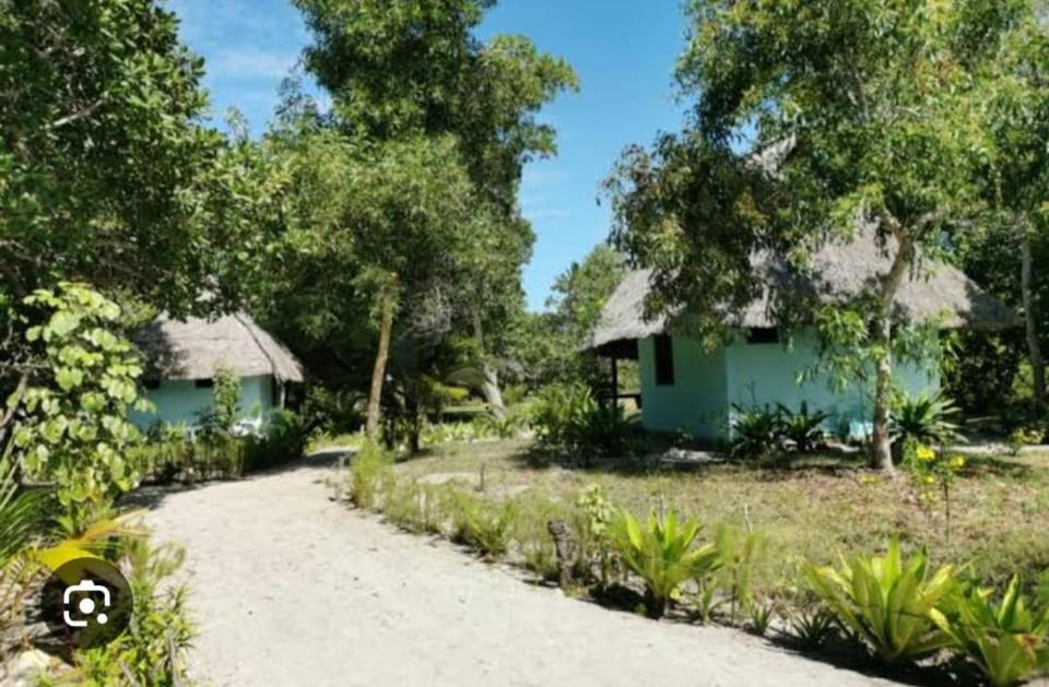 Property building, Day, Garden, Garden view