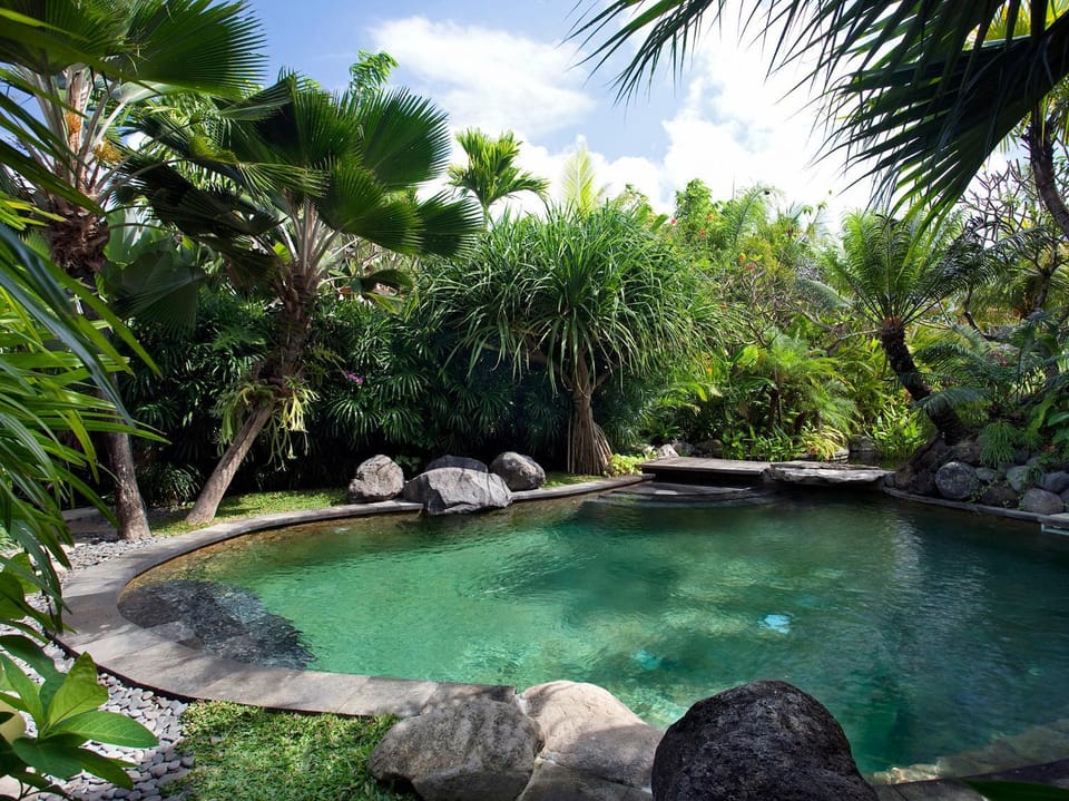 Day, Garden, Pool view, Swimming pool