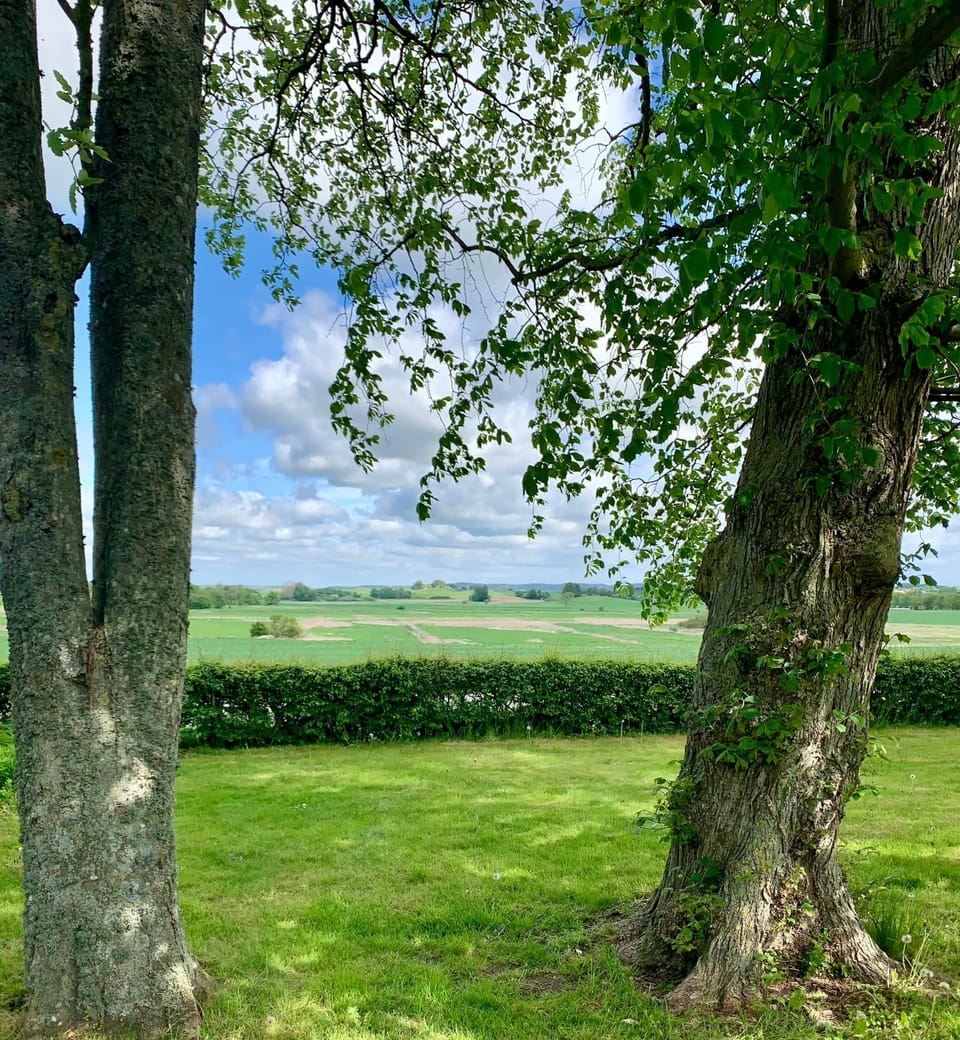 Spring, Natural landscape, Garden, Garden view