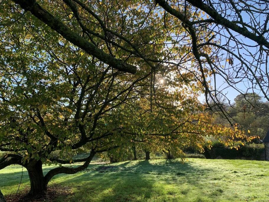 Natural landscape, Garden view