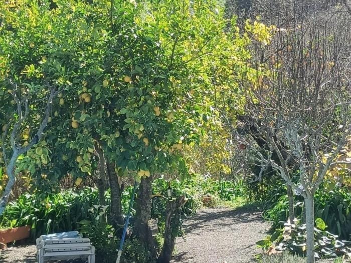 Garden, Garden view