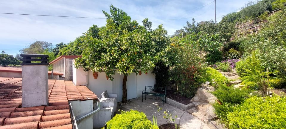 Patio, Garden, Seating area