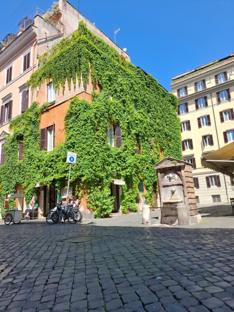 Day, Neighbourhood, Street view, Location
