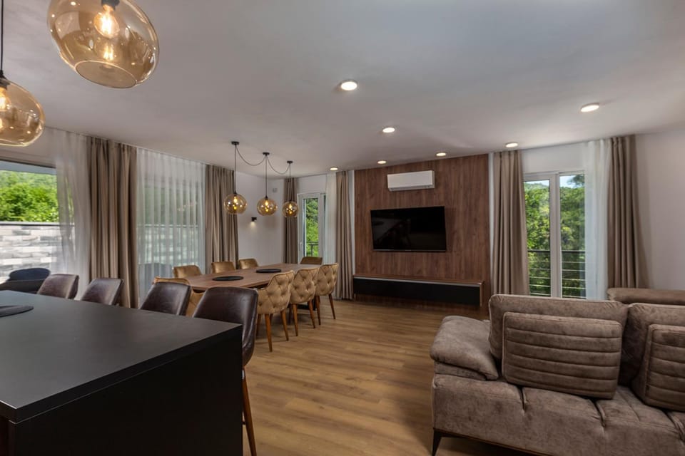 TV and multimedia, Living room, Seating area, air conditioner