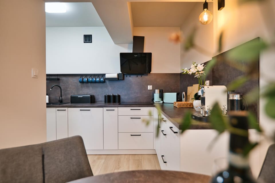 Kitchen or kitchenette, dishwasher, pet friendly, stove
