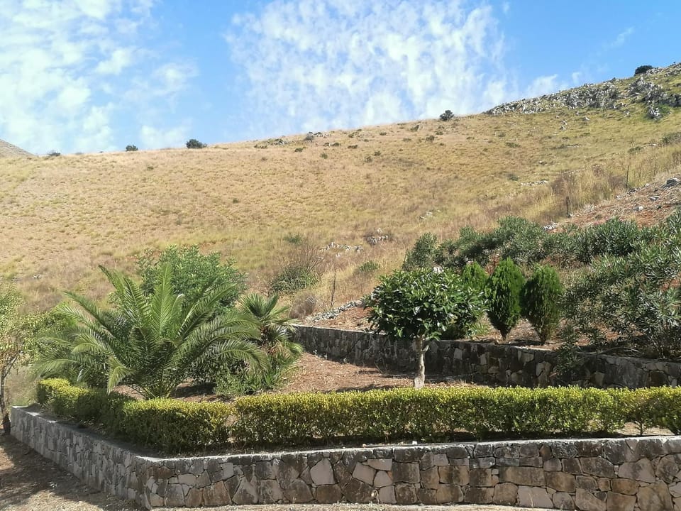 Natural landscape, Garden, Garden view, Mountain view