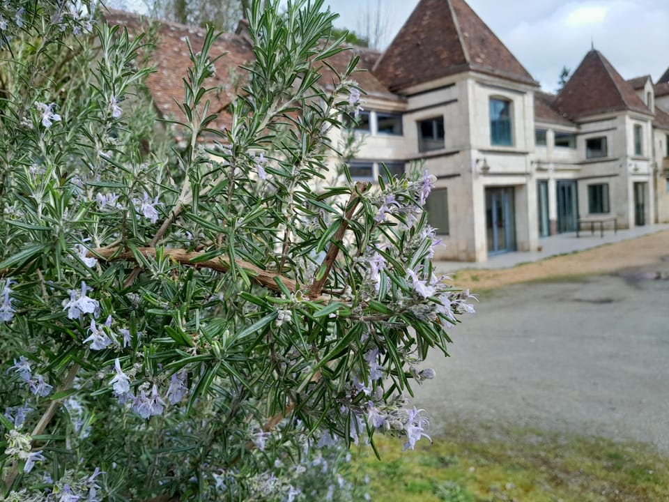 Property building, Spring, Garden
