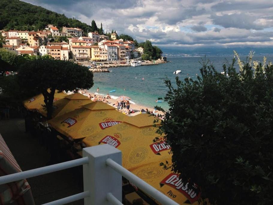 City view, Sea view