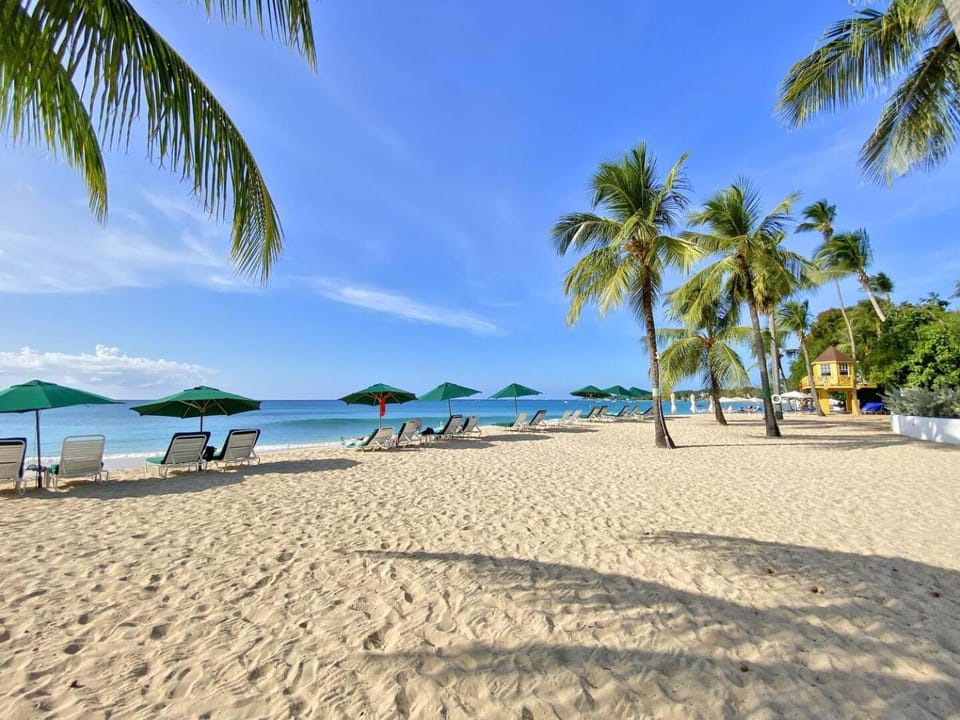 Nearby landmark, Beach, Sea view, sunbed