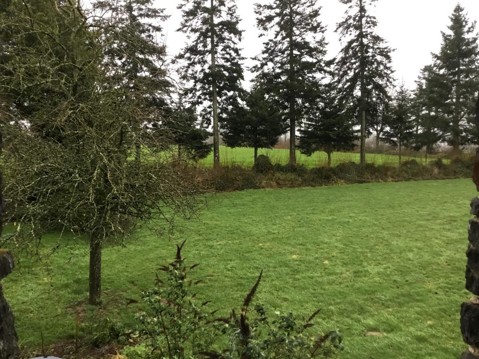 Garden view