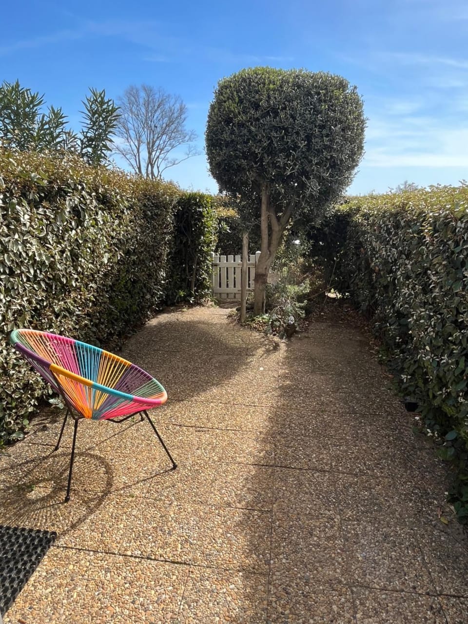 Garden, Balcony/Terrace